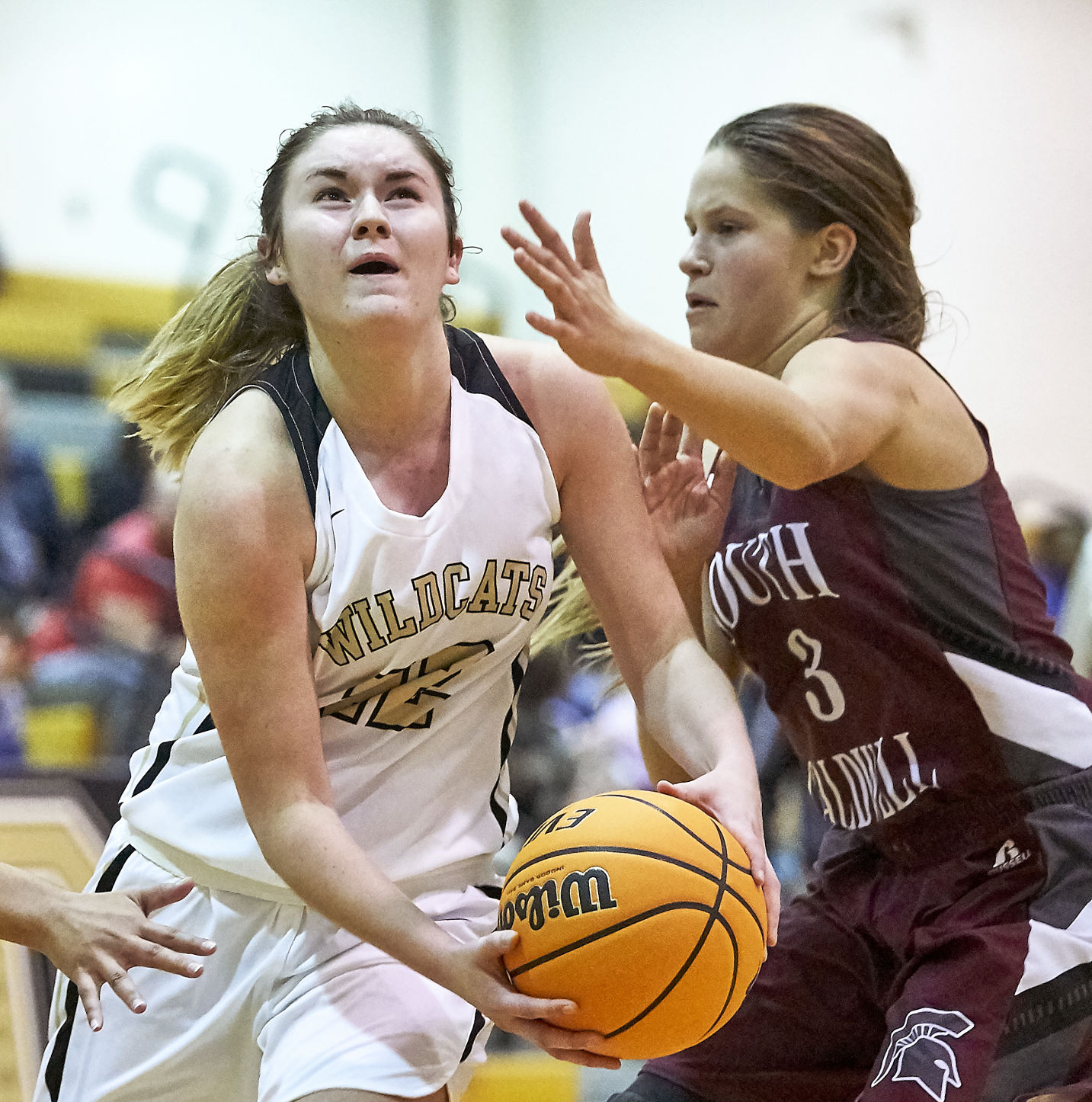 191118 DHS WBB 6.jpg